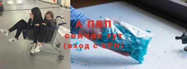 ПСИЛОЦИБИНОВЫЕ ГРИБЫ Володарск