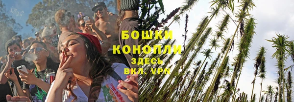 ALPHA PVP Волосово