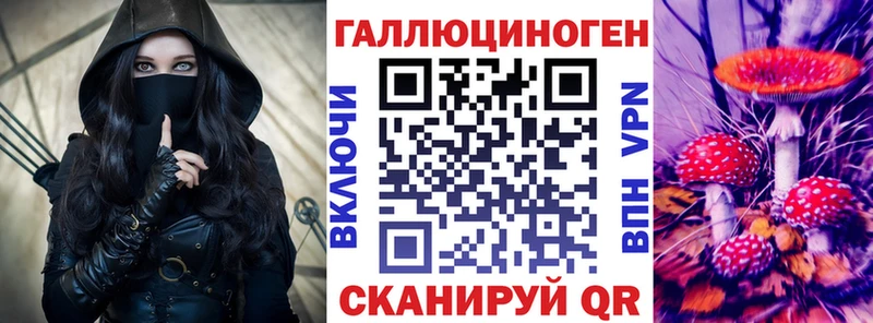 Галлюциногенные грибы GOLDEN TEACHER  Купить где  Знаменск 